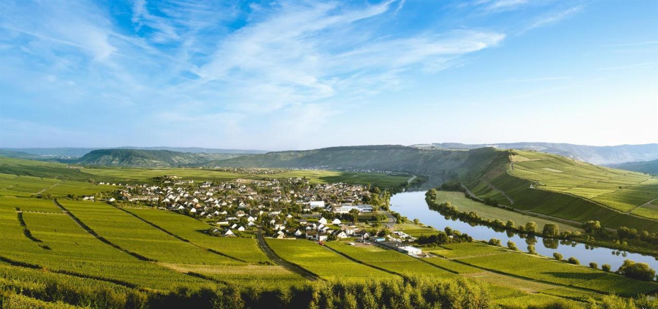 Ferienweingut Ulrike Thul Apartamento Leiwen Exterior foto