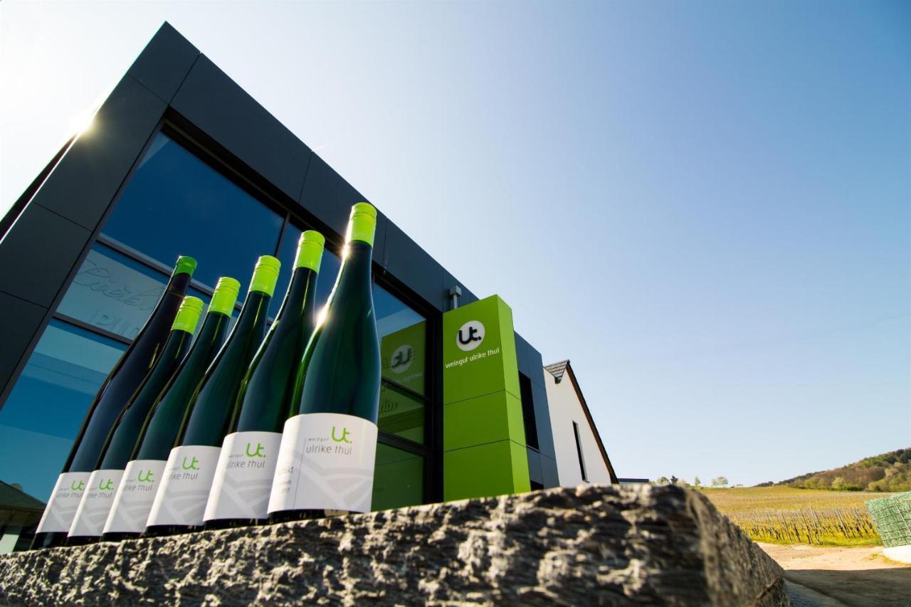 Ferienweingut Ulrike Thul Apartamento Leiwen Exterior foto