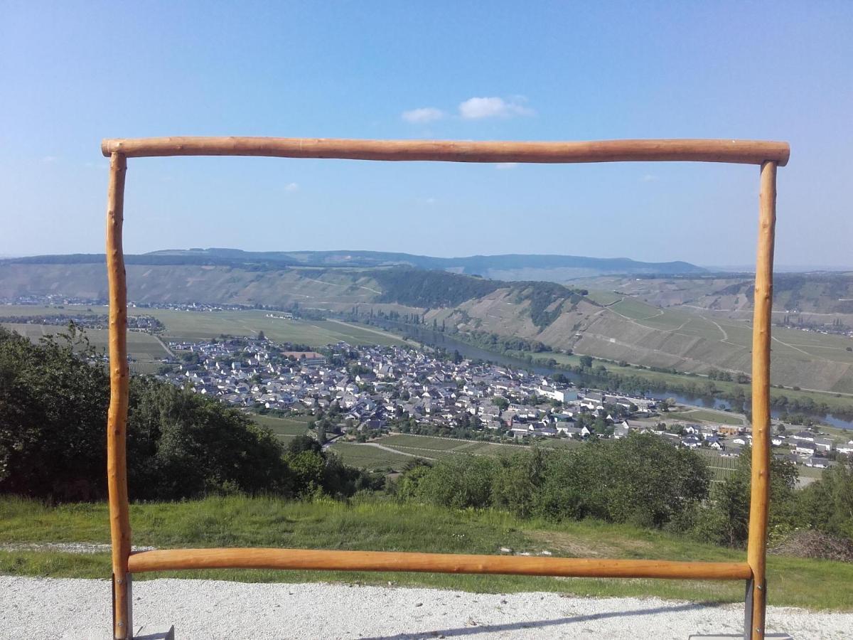 Ferienweingut Ulrike Thul Apartamento Leiwen Exterior foto