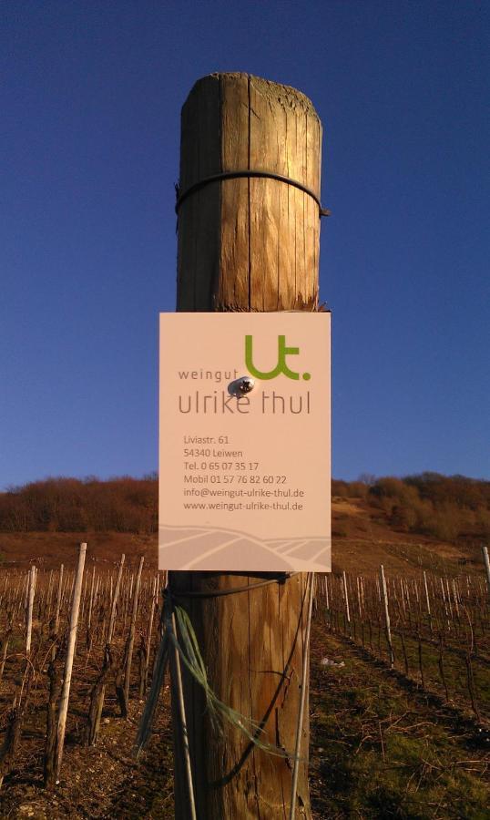 Ferienweingut Ulrike Thul Apartamento Leiwen Exterior foto